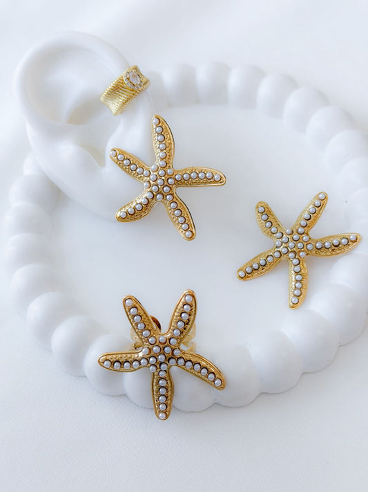 Anillo y Arete Yvonne