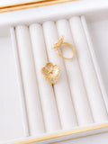 Anillo Alani