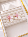 Aretes Laney