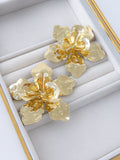 Aretes Valken