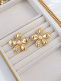Aretes Tessna