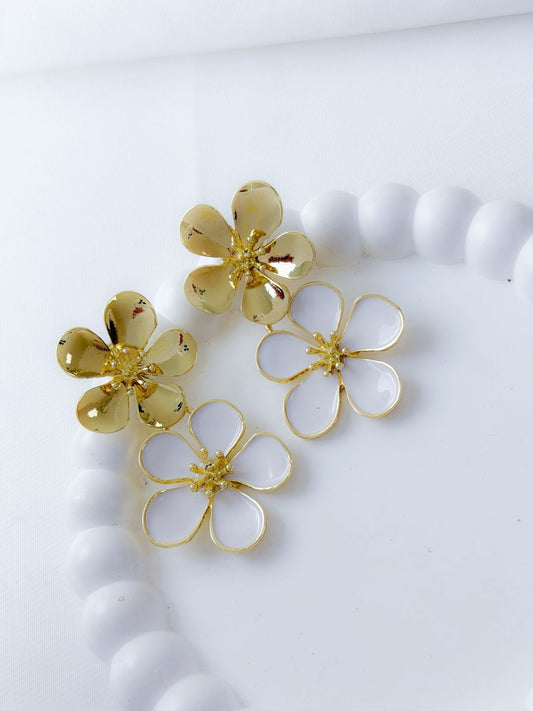 Arete y Anillo Benoît